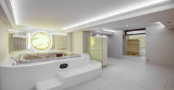 Уникальная квартира (60467434)