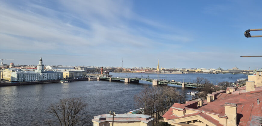 Уютная квартира в Петербурге (42651684)