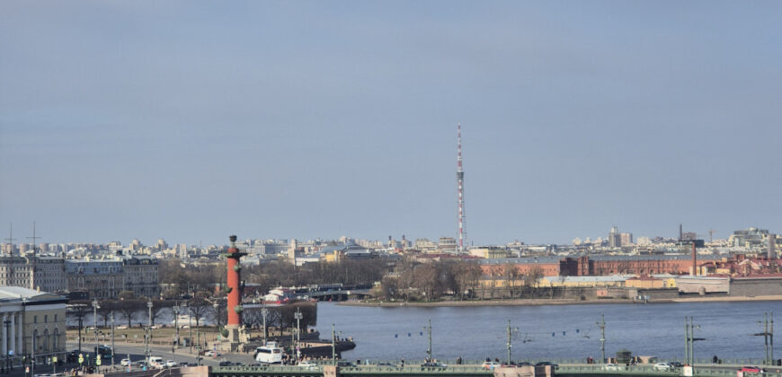 Уютная квартира в Петербурге (42651684)